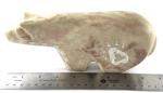 Yazzie Signed Stone Bear Sculpture - 8.5