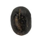 Stone-Like Inuit Carved Head Rattle Sculpture 5”