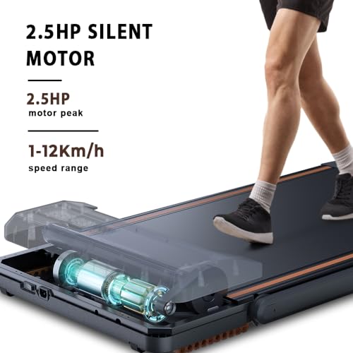Dskeuzeew 2-in-1 Folding Treadmill with Remote Control