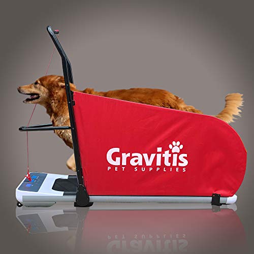 Gravitis Dual Purpose Electric Treadmill for Dogs & Humans
