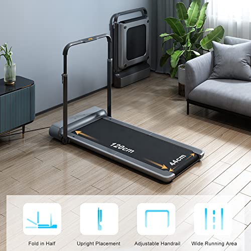 WalkingPad R1 Pro Foldable 2-in-1 Treadmill