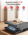 Folding Motorized Treadmill with Adjustable Speed