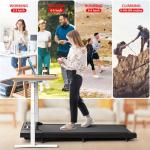 2-in-1 Walking Pad Treadmill with Incline