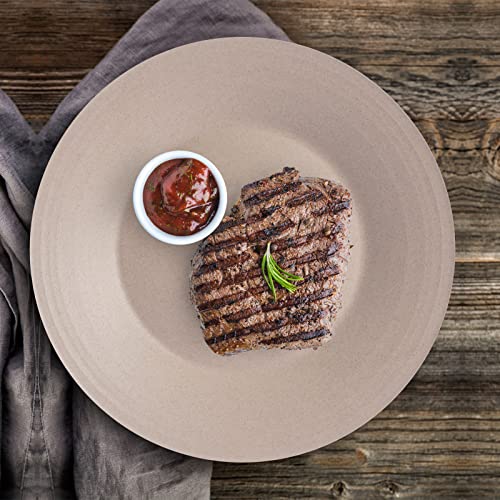 Eco-Friendly Wheat Straw Plates - 6pc Set, Non-Toxic