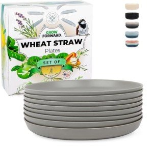 Light Wheat Straw Dinner Plates - Set of 8