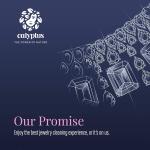 Powerful Ultrasonic Jewelry Cleaner Concentrate Solution