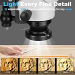 DZQ ZQ-1 Multi-Directional Microscope with LED Light