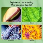 Handheld Kids Microscope with 1000X Magnification