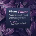 Jewelry Cleaner Concentrate for Professional Results