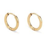 Trendy Lightweight Gold PVD Hoop Earrings for Women