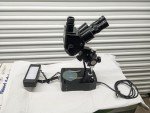Gem Stereo Microscope with Triport Camera and Lights