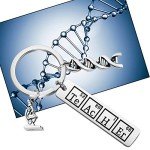 Chemistry Teacher Keychain with Microscope & DNA Design