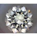 AmScope Dual Halogen Jewelry Gem Stereo Microscope
