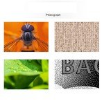 1600X Digital Microscope for Coins, Jewelry, Nature