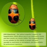 30X Gold Plated Magnifying Glass for Hobbies