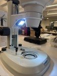 Kassoy MIC850B Digital Microscope 200X Magnification