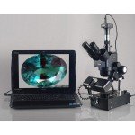 AmScope Trinocular Zoom Stereo Microscope with Lights