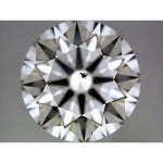 AmScope Trinocular Zoom Stereo Microscope with Lights