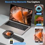 Kids Handheld Microscope with Light - STEM Toy