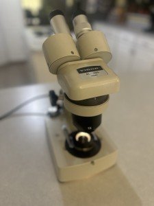 Vintage EL-425 Zoom Microscope for Jewelry Inspection
