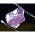 7X-45X Gem Microscope with Dual Halogen Lights