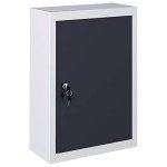 Wall Mounted Tool Cabinet with Euro Holes