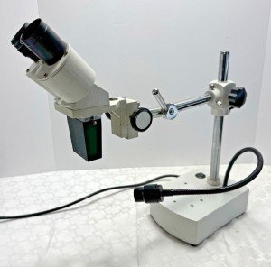 AmScope SE400 LED Binocular Stereo Microscope