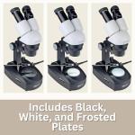GemOro Elite 1030 LED Microscope for Jewelry Inspection