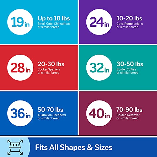 Portable Dog Crate for Small Dogs, Made in USA