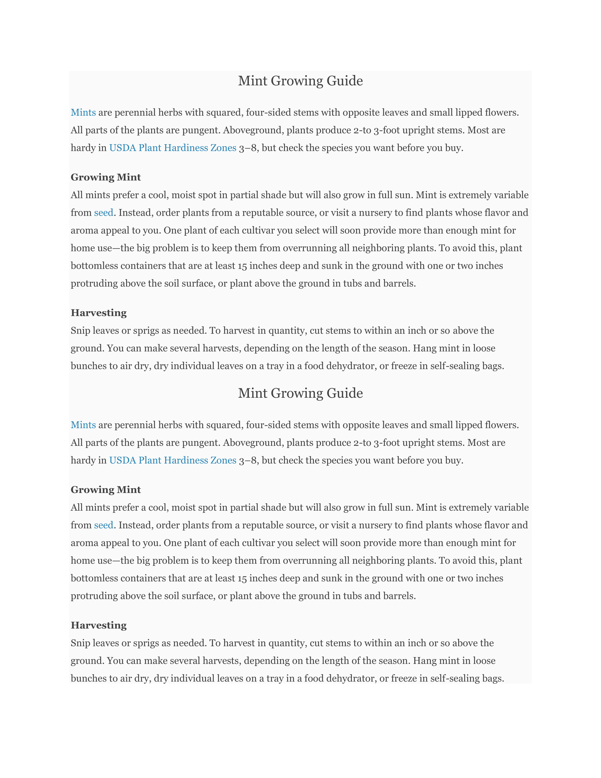 Orange Mint Daylily Live Plant - 4in Pot