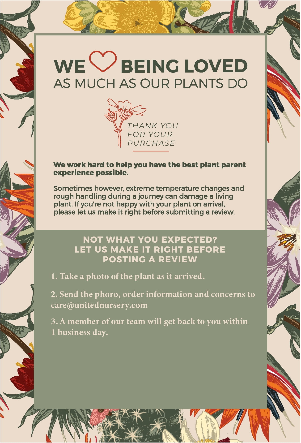 Golden Pothos Plant in 6 Inch Pot.