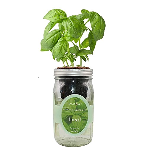 Hydroponic Mason Jar Herb Garden Kit
