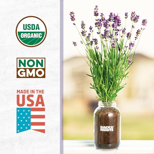 Organic Lavender Windowsill Planter Kit - Complete Growth Set