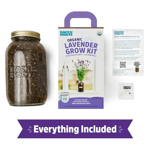 Organic Lavender Windowsill Planter Kit - Complete Growth Set