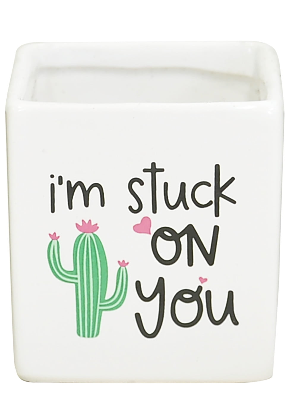 Green Cactus in Ceramic Planter - 7in. Tall