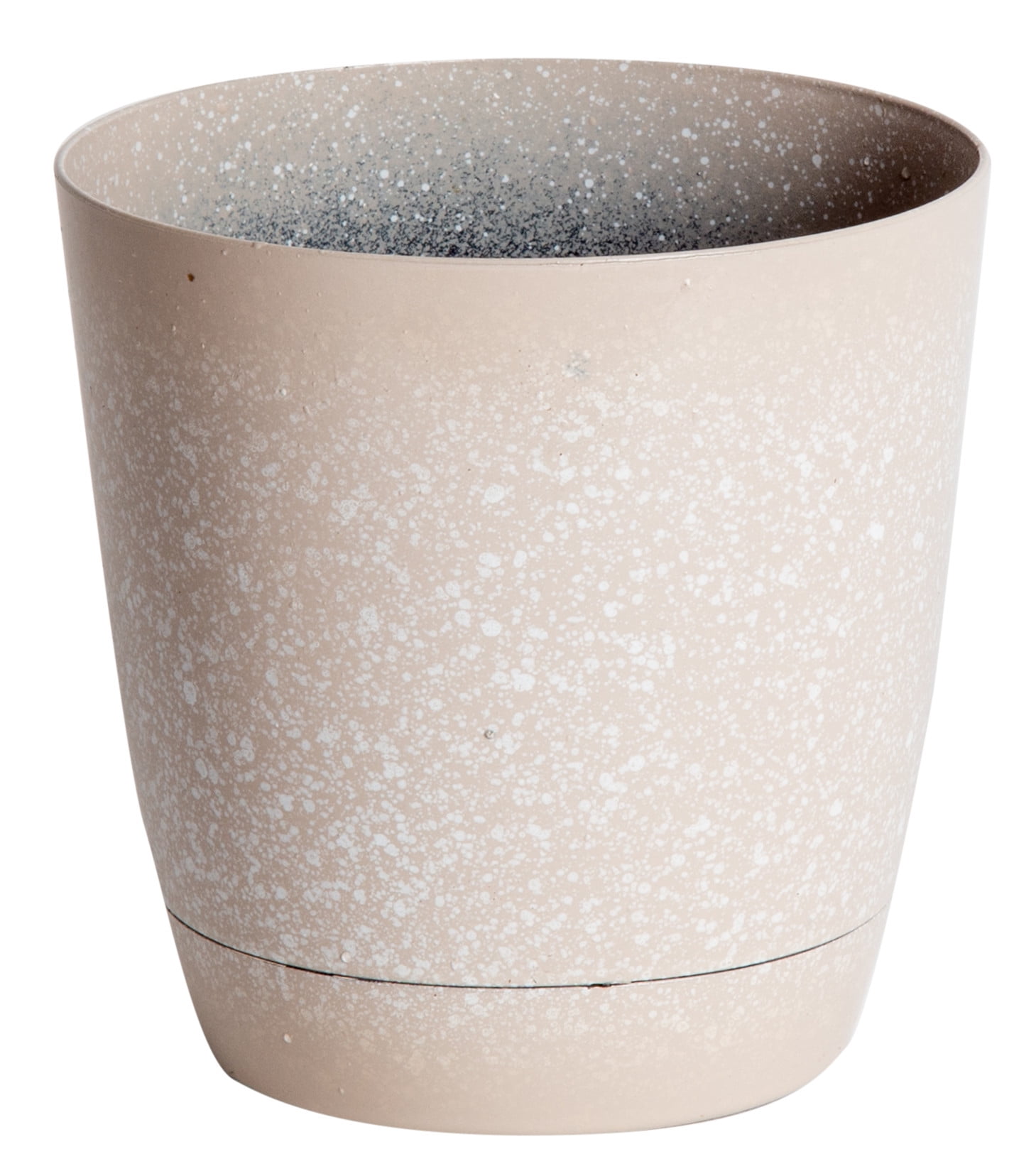 7in. Aloe Vera in 4in. Pot: Desert Escape