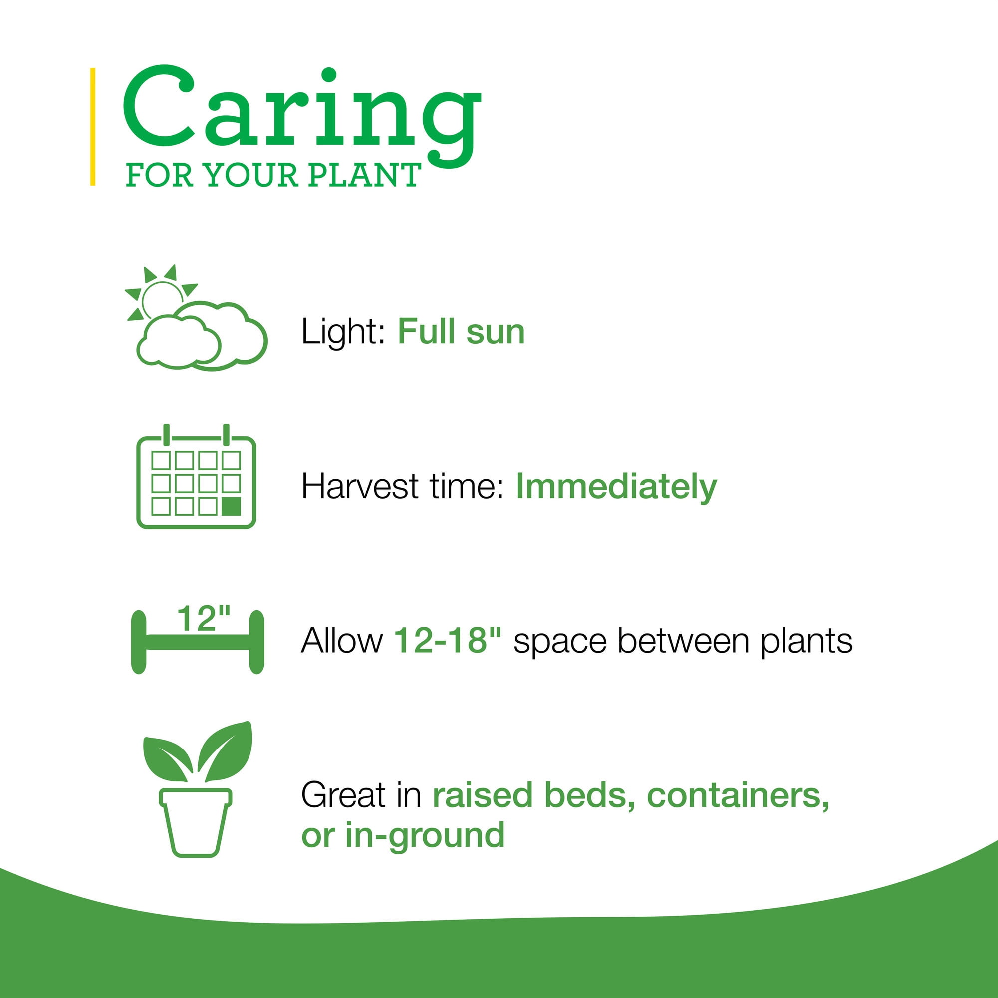 Bonnie Plants Purple Basil 19.3 oz. 2-Pack