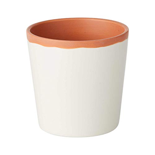 White Aloe Succulent Planter Pot by Enesco.
