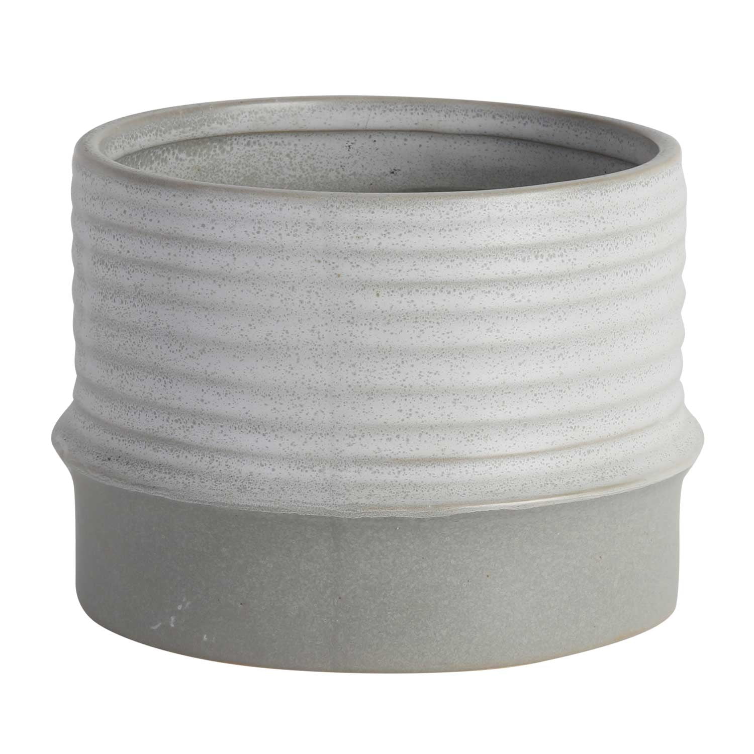 Pink Star Calathea in Mid-Century Modern Planter