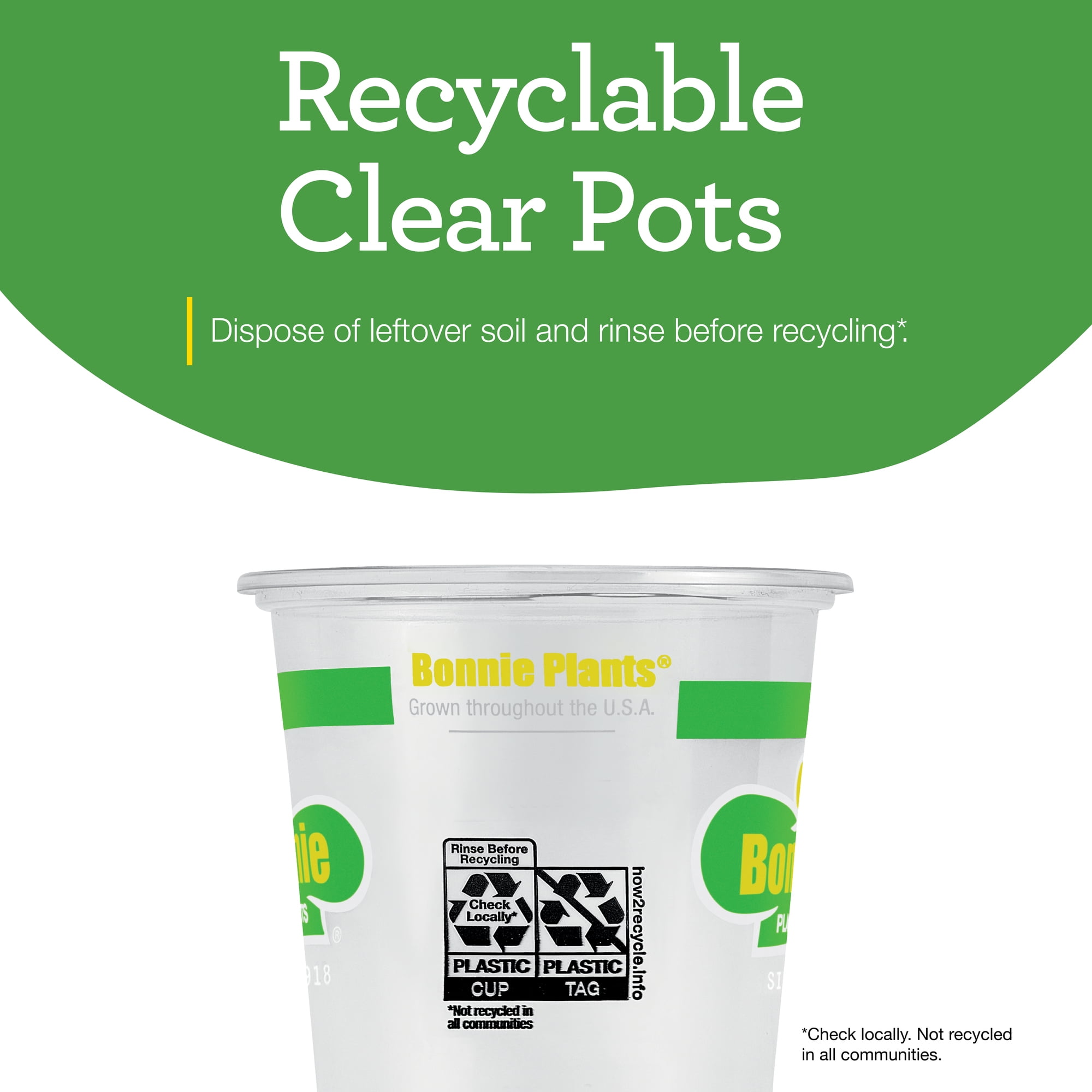 Bonnie Plants Sweet Basil 19.3 oz. 2-Pack