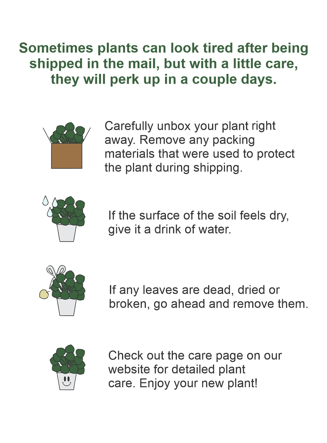 Live Jade Succulent Plant - 4" Decorative Metal Pot