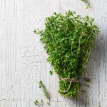 Thyme Plant, (Thymus vulgaris) 2.5 inch pot