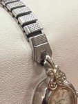 Rivera 17 Jewel Manual Wind Monopusher Watch
