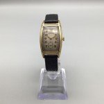 Welsbro Monopusher Gold Tone Women's Watch 23mm