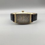 Welsbro Monopusher Gold Tone Women's Watch 23mm
