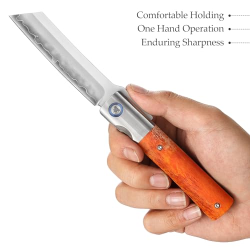 TRIVISA Higonokami Folding Pocket EDC Knife