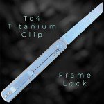 Tatsu Higonokami: Top Flipper with Razor Sharp D2