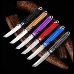 StatGear Pocket Samurai Micro Folding Knife - Everyday Carry 440C Stainless Steel Tanto Blade - Higonokami Style EDC Knife with Keychain Loop - Black/Black