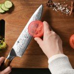 YUSOTAN Damascus Japanese Chef Knife 8 inch Cooking Knife Super Sharp Damascus kitchen Knife High Carbon Stainless Steel Meat Knife and BBQ Knife with Ergonomic Solid Wood Handle（Gift Box）