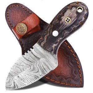 Ancilla Handmade Damascus Hunting Knife - EDC Camping Knife - Fixed Blade Mini Pocket Predator Hunter Viking Knife - Full Tang Bushcraft and Skinning knife with leather sheath